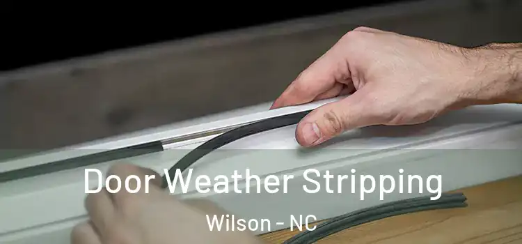 Door Weather Stripping Wilson - NC
