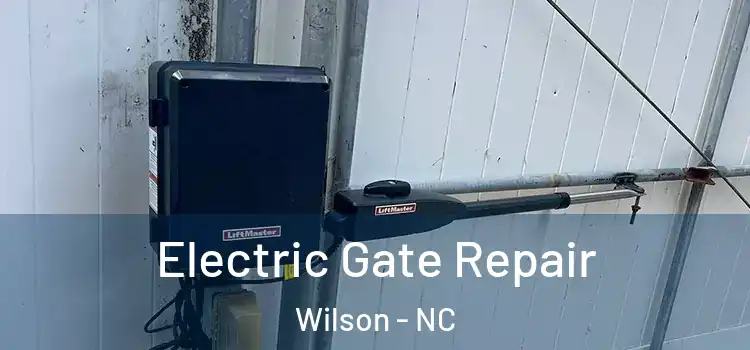 Electric Gate Repair Wilson - NC