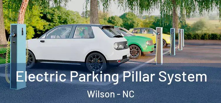 Electric Parking Pillar System Wilson - NC