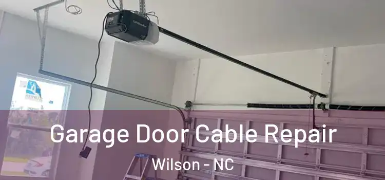  Garage Door Cable Repair Wilson - NC