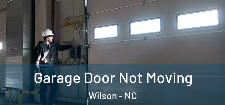  Garage Door Not Moving Wilson - NC