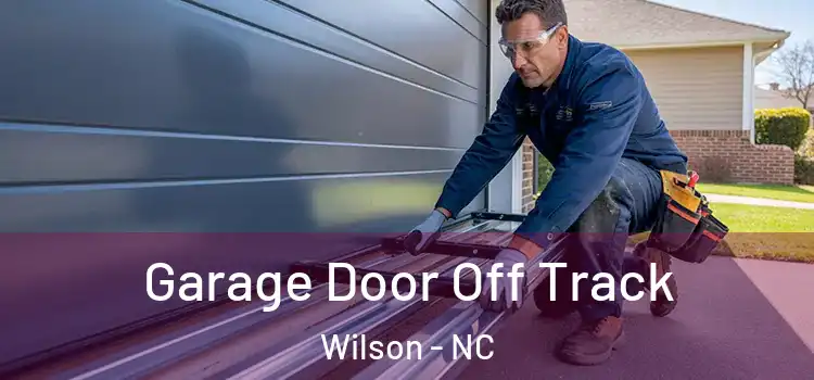  Garage Door Off Track Wilson - NC