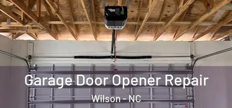  Garage Door Opener Repair Wilson - NC