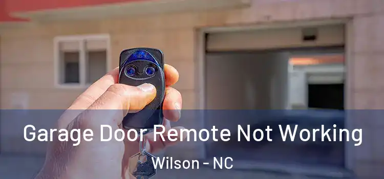  Garage Door Remote Not Working Wilson - NC