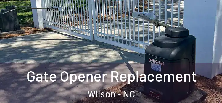 Gate Opener Replacement Wilson - NC