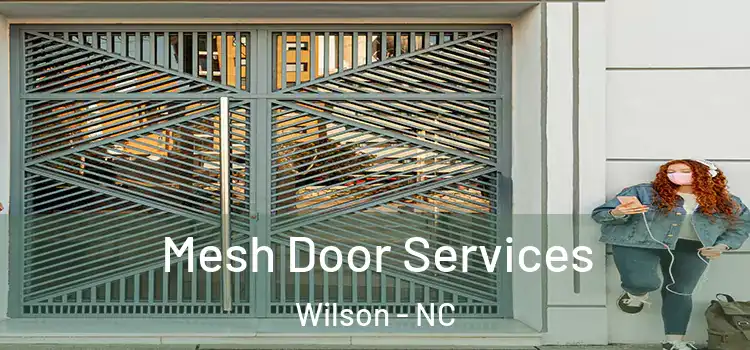 Mesh Door Services Wilson - NC