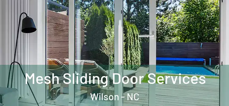Mesh Sliding Door Services Wilson - NC