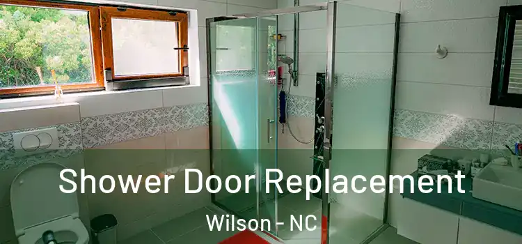 Shower Door Replacement Wilson - NC