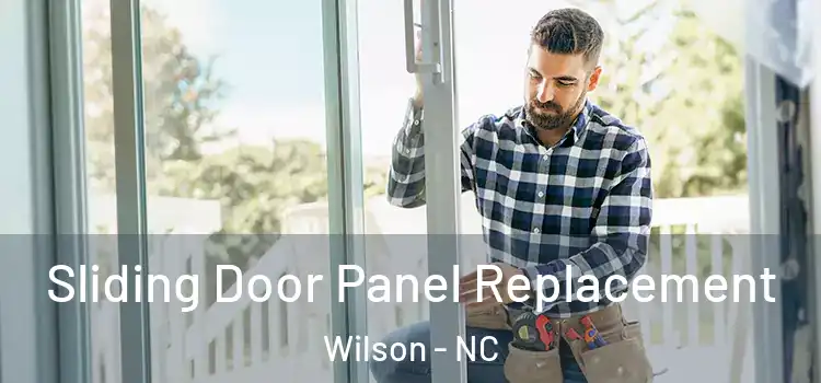  Sliding Door Panel Replacement Wilson - NC